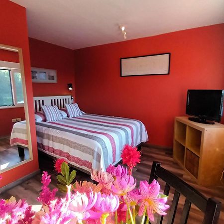 Apartamentos La Casa Del Pintor Cudillero Pokoj fotografie